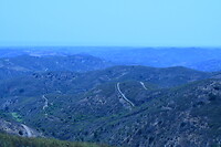 DSC_1175
