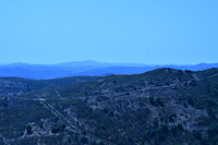 DSC_1186