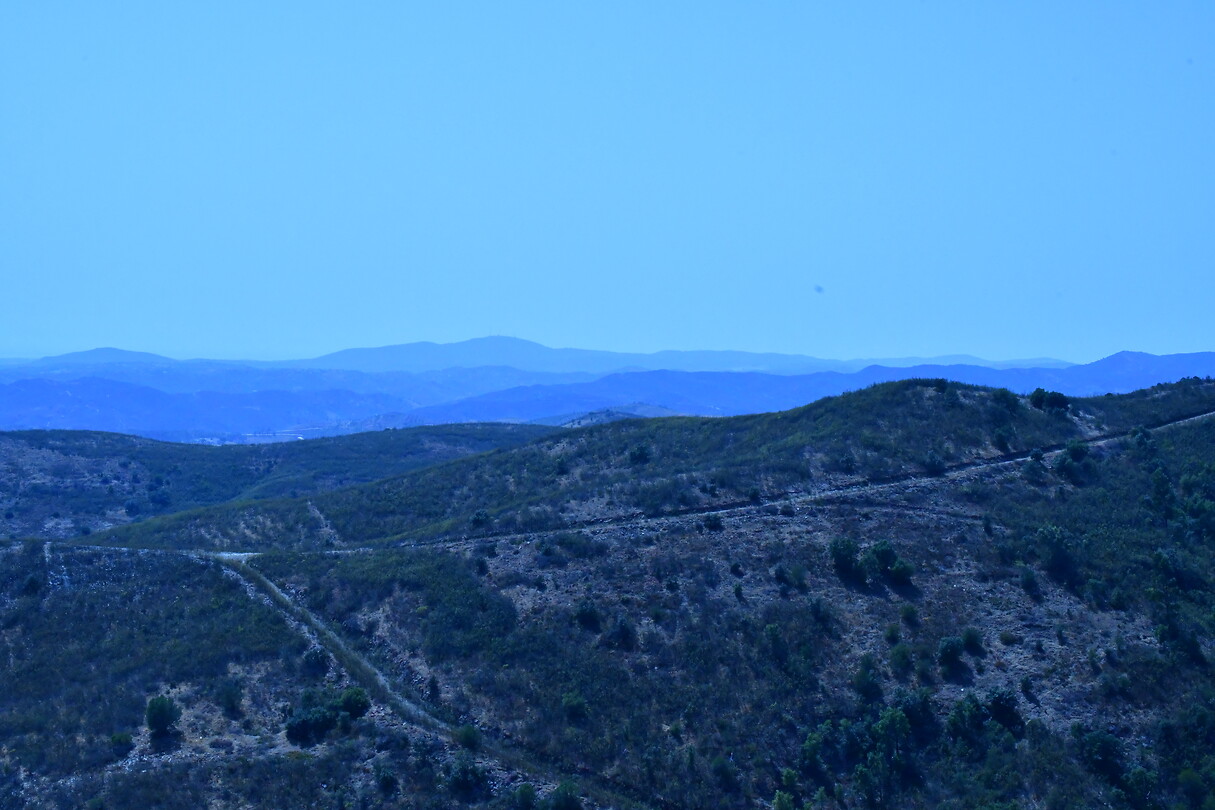 DSC_1186