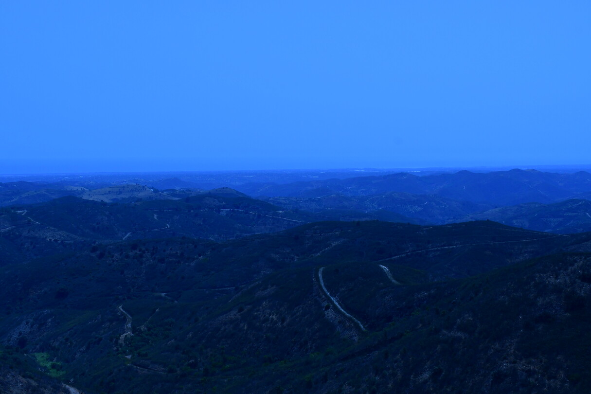 DSC_1190