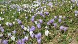 Mayrhofen april 2014 062