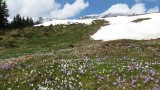 Mayrhofen april 2014 064