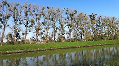 2016-05 Pieterpad (15)