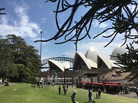 Opera House vanuit Royal Botanic Gardens