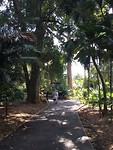 Royal Botanic Gardens