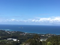 Forest Sky pier view