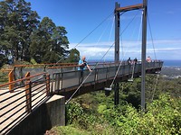 Forest Sky pier