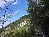 Lighthouse Byron Beach