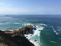 Whale spotting