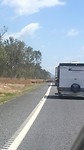 Koeien oversteek op Highway