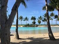 Plaatselijke zwembad Airlie Beach