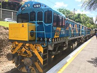Trein
