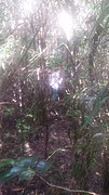 20160529_075446