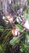 20160529_074936