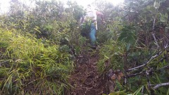 20160529_073818