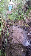 20160529_072421