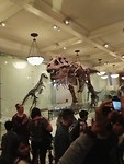 IMG_20170807_171752