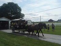IMG-20170811-WA0006