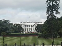 IMG-20170812-WA0009