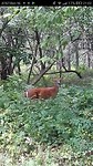 IMG-20170814-WA0010