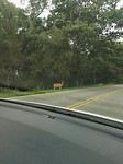 IMG-20170814-WA0009