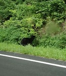 IMG-20170814-WA0008