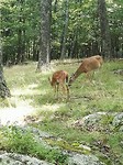 IMG-20170816-WA0004