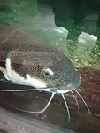 IMG_20170818_103320