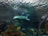 IMG_20170818_104144