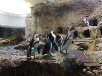 IMG_20170818_111003