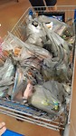 IMG-20170822-WA0009