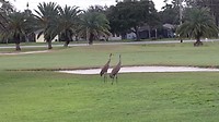 20170823_114758