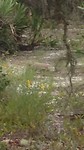 IMG-20170824-WA0013