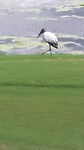 20170827_122143