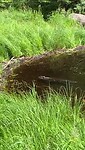 VID-20220714-WA0014