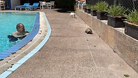 IMG-20230507-WA0006