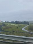 IMG_1381