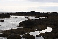 IMG_6977