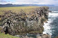 IMG_6966