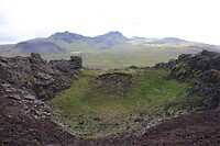 IMG_6952