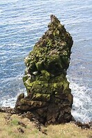 IMG_6933