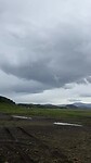 IMG_1401
