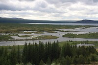 IMG_6987