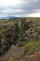IMG_7000