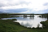IMG_7009
