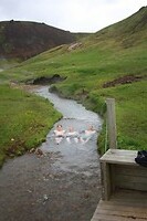 IMG_7078