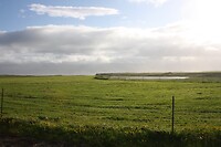 IMG_7130