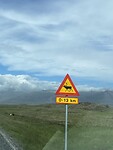 IMG_2106