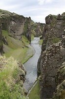 IMG_7134