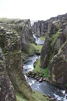 IMG_7141